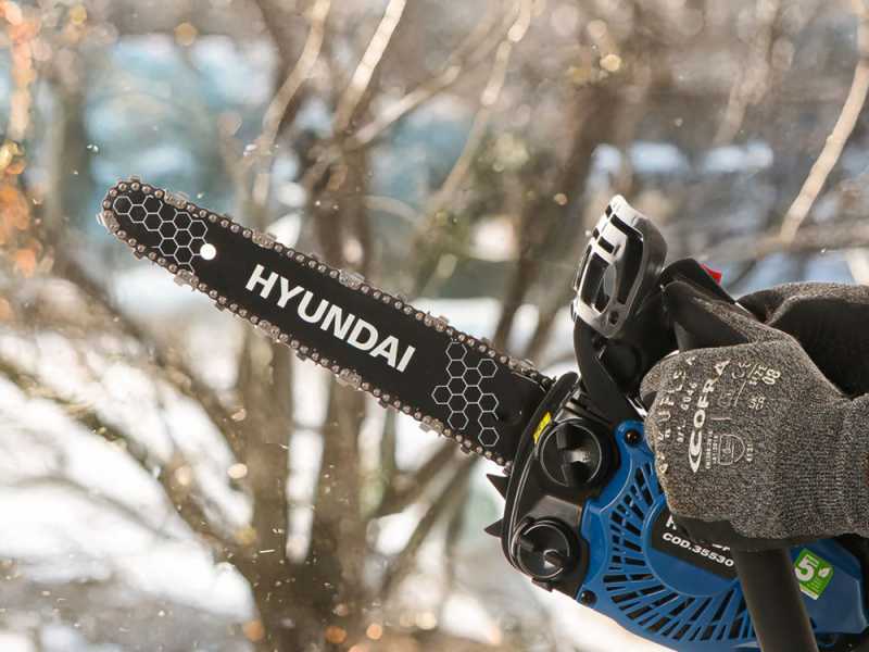 Hyundai TCS2510 - Motosega da potatura a scoppio - Lama carving da 25 cm