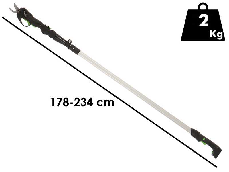 Ribimex PRBAT20/SECSB - Forbice elettrica da potatura su asta - SENZA BATTERIA E CARICABATTERIA