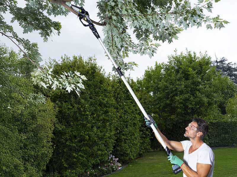 Ribimex PRBAT20/ELAGSB - Potatore a batteria su asta telescopica - SENZA BATTERIA E CARICABATTERIA