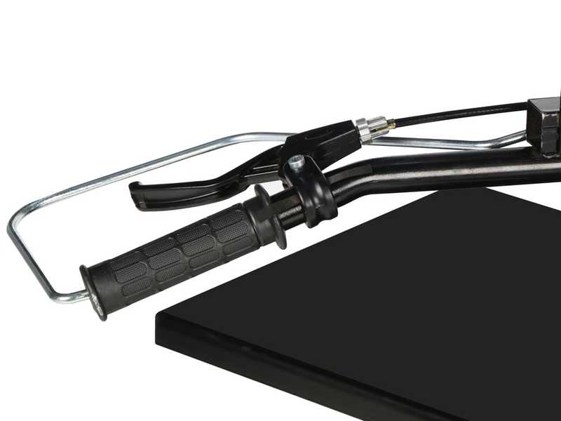 Blackstone EVL 8-55 - Spaccalegna elettrico - Verticale