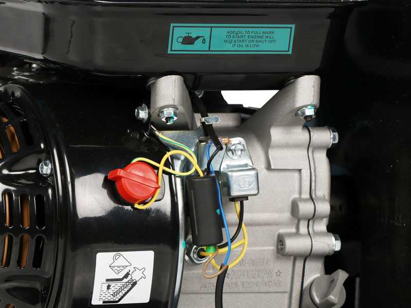 BlackStone DSP 70 J - Biotrituratore a scoppio  - Motore a benzina da 212cc