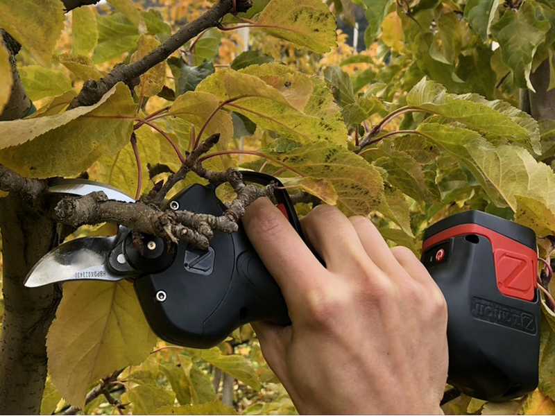 OUTLET - UTILIZZATO PER PROVA - Zanon ZM 25 - Forbice elettrica da potatura - 3x 16.8V 2.5Ah
