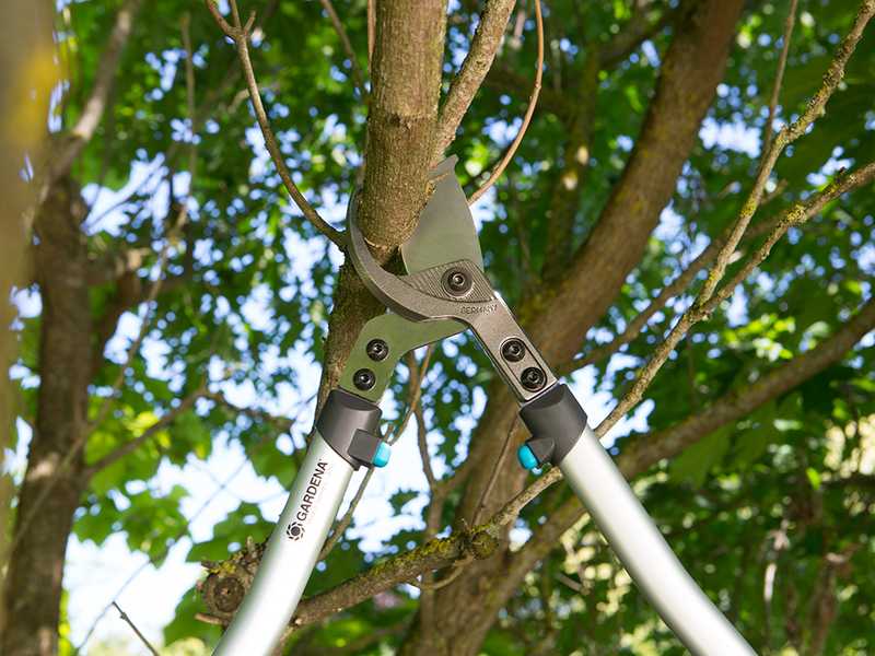 Gardena 700B Premium - Troncarami bypass - Lunghezza 70cm