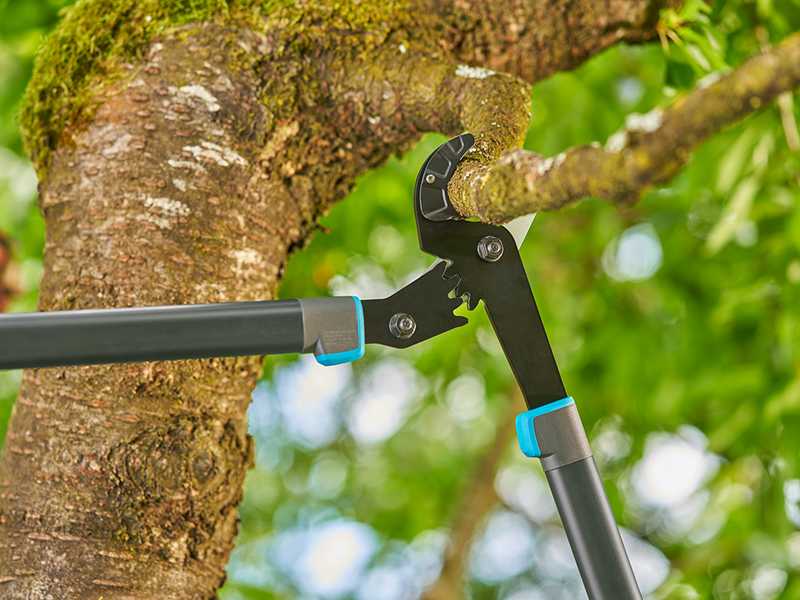 Gardena EnergyCut Pro L - Troncarami a incudine - Lunghezza 75cm