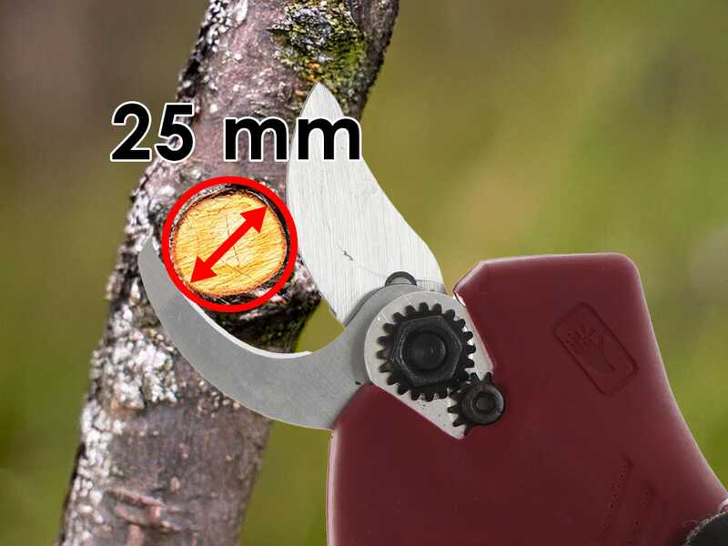 Archman FE04-25 - Forbice da potatura a batteria - 2x 16.8V 2Ah