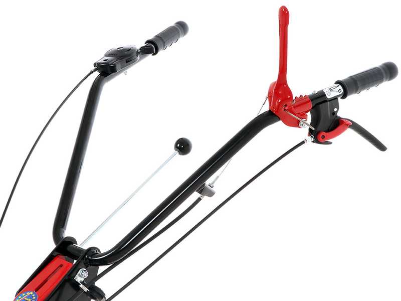 Eurosystems P55 - Decespugliatore a ruote a benzina - Loncin 196cc