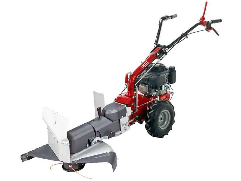 Eurosystems P55 - Decespugliatore a ruote a benzina - Loncin 196cc