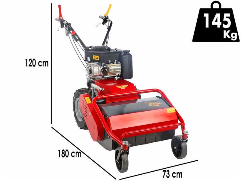 Meccanica Benassi TR 600 - Trinciaerba professionale a martelli - B&amp;S 3125E