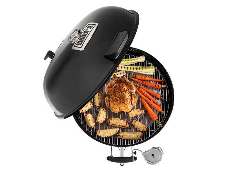 Staffa supporto per iGrill Weber