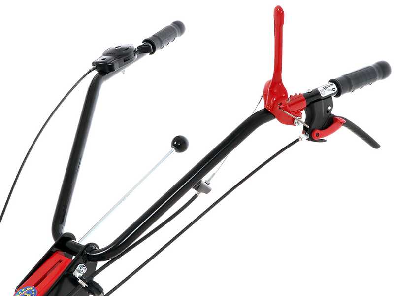 Eurosystems P55 - Motofalciatrice multifunzione rotativa - Rato RV200