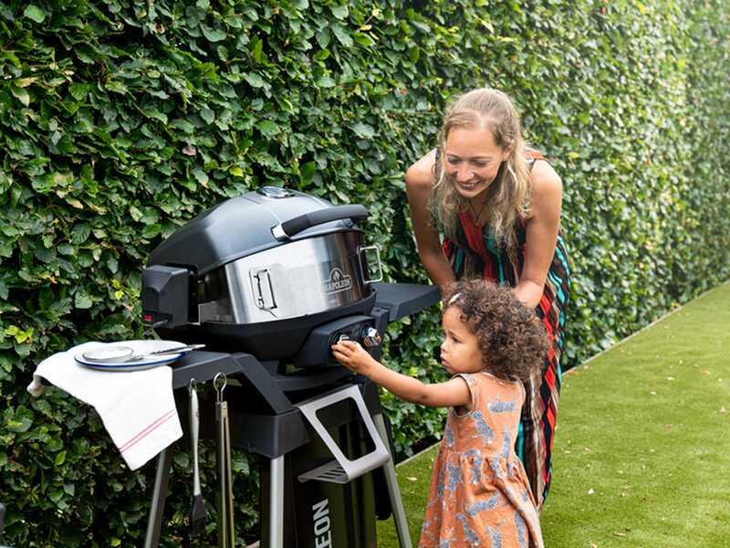 Napoleon - Kit girarrosto per barbecue TravelQ PRO285X