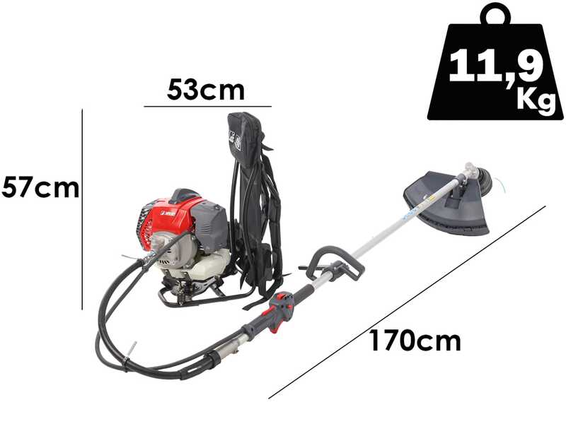 Efco DSH 5000 BP - Decespugliatore a zaino - Motore Emak