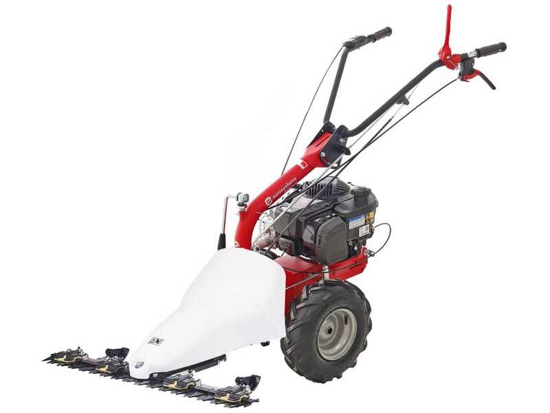 Eurosystems P55 EVO - Motofalciatrice multifunzione bilama - B&amp;S 675 EXI