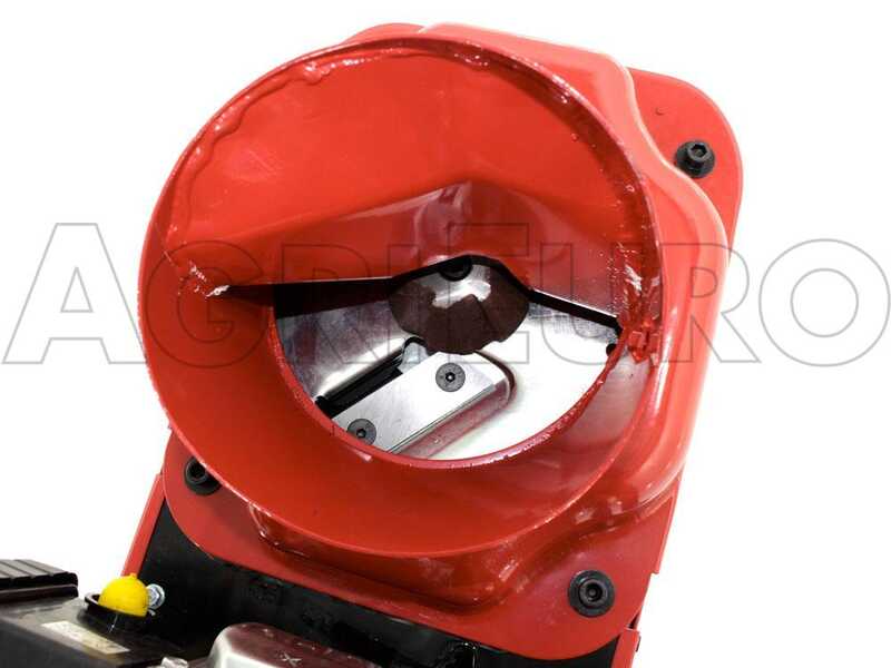 OUTLET - DIFETTI ESTETICI - GeoTech GSB50 - Biotrituratore a scoppio - Motore a benzina 6 HP