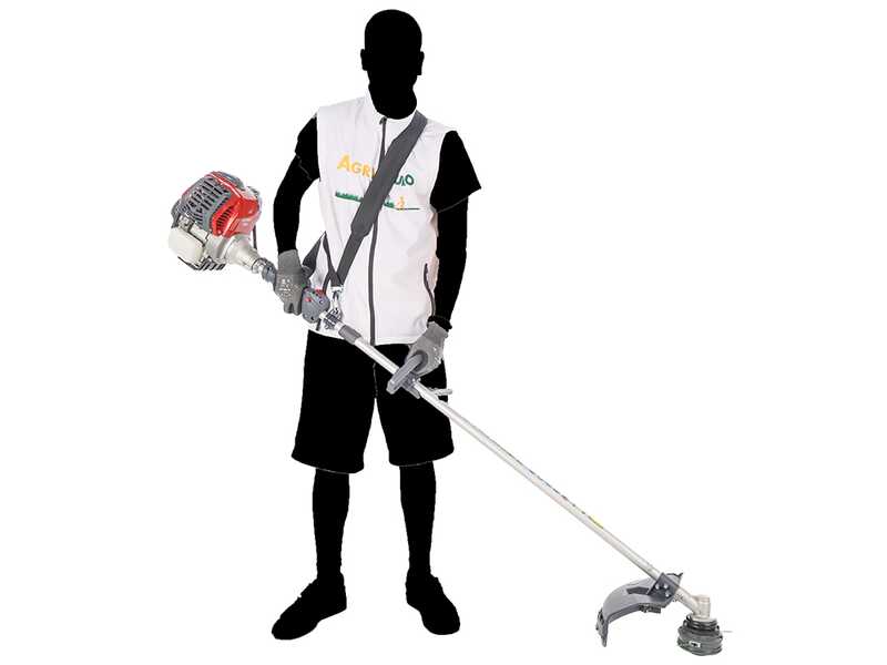 Efco DSH 3100 S - Decespugliatore a scoppio - Motore Emak a 4 tempi