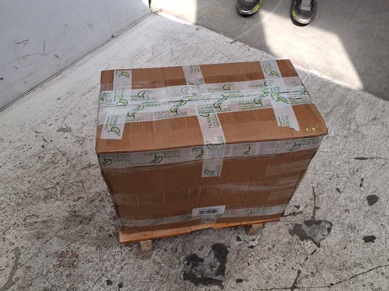 OUTLET - SENZA IMBALLO ORIGINALE - Famag IM 10S/230 10 Velocit&agrave; - Impastatrice a spirale 10 Kg con testa sollevabile