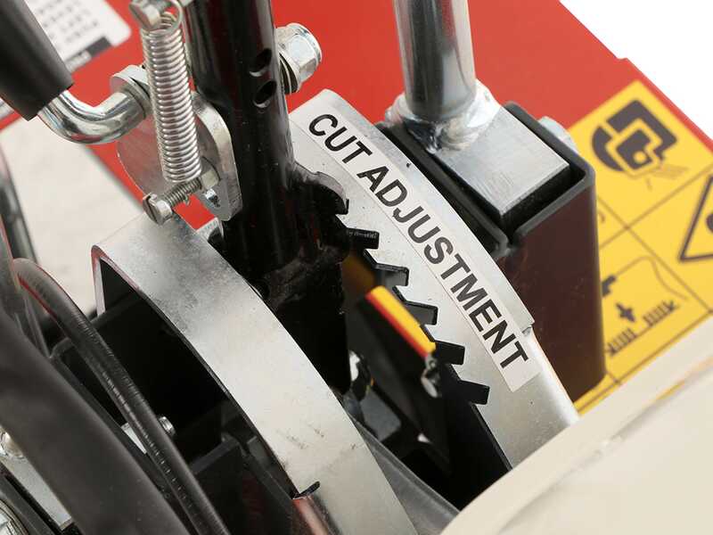 Benassi L300 - Tagliazolle a benzina trazionato - Honda GX160 - 5.5HP