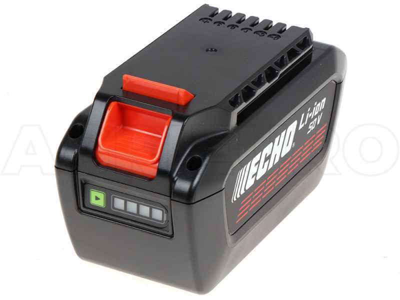 Echo DPPT-2600LW - Potatore a batteria su asta - 56V 5Ah