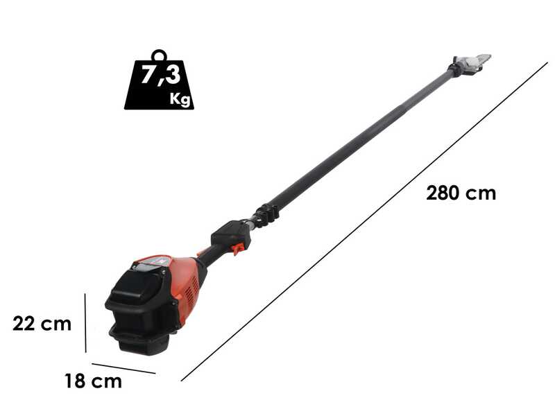 Echo DPPT-2600LW - Potatore a batteria su asta - 56V 5Ah