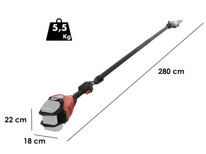 Echo DPPT-2600LW - Potatore a batteria su asta - 56V - SENZA BATTERIA E CARICABATTERIA