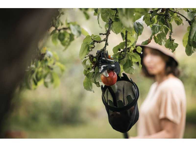 Coglifrutta per forbici lunghe Fiskars