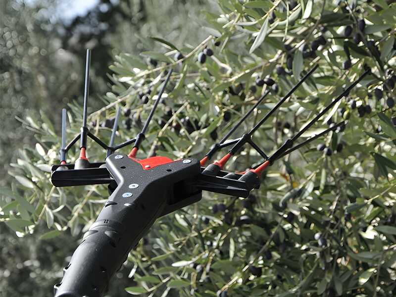 Castellari Vertigo C 18V - Abbacchiatore elettrico a batteria 18V 5.2Ah - Asta telescopica 190/240 cm