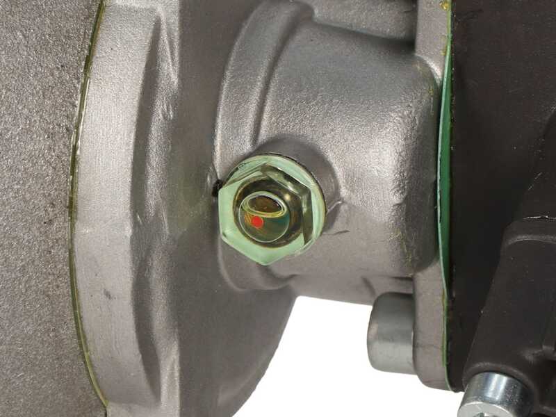 Kit motopompa elettrica da irrorazione con carrello - Bertolini Pumps PA 330.1 VF