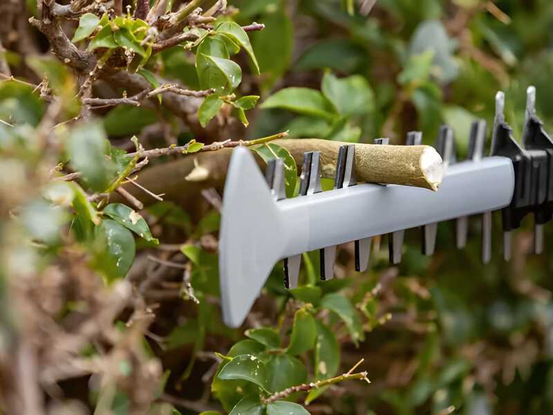 Bosch Professional GHE 18V-60 - Tagliasiepi a batteria 18V/2Ah - Lama da 60 cm