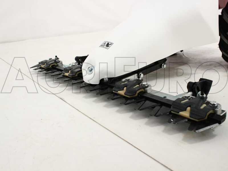 OUTLET - PICCOLI DIFETTI ESTETICI - Eurosystems M210 - Motofalciatrice bilama - B&amp;S 450E