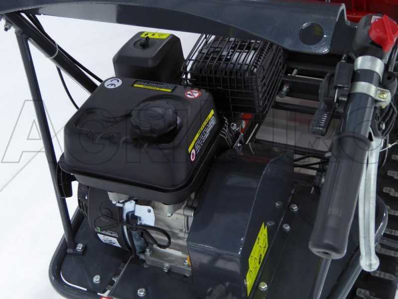 GeoTech-Pro GeoPorter 530E - Minitransporter cassone estensibile 500Kg