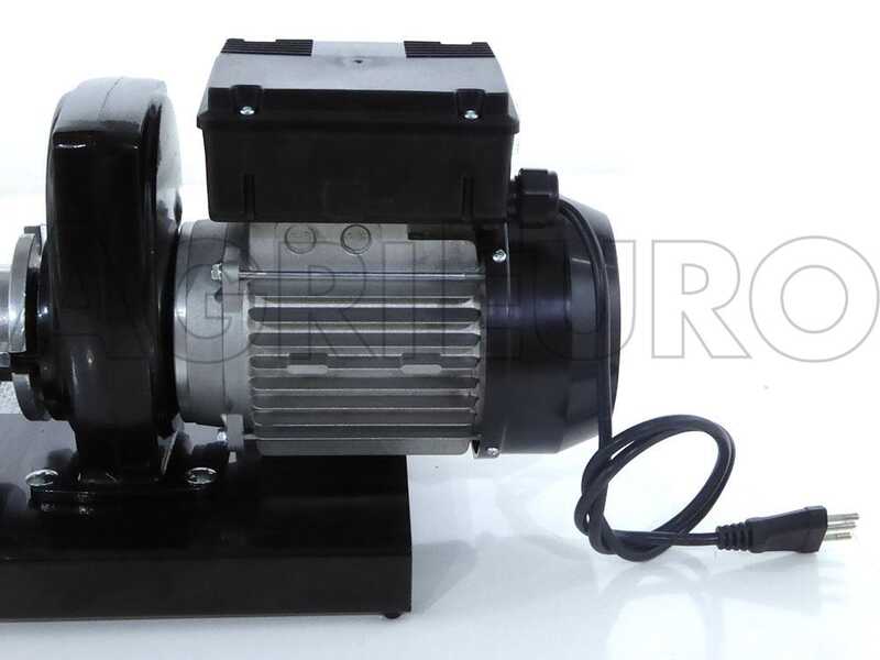 OUTLET - DIFETTI ESTETICI - Palumbo Pavi SM 5 INOX - Passapomodoro con motore elettrico 600W 220V