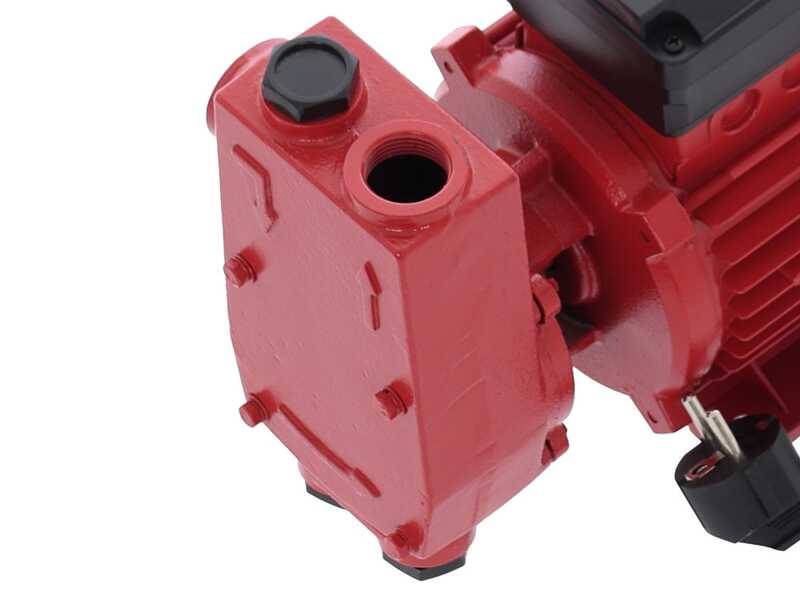 Ribimex PRKG130 - Pompa da travaso per gasolio + Kit dispenser