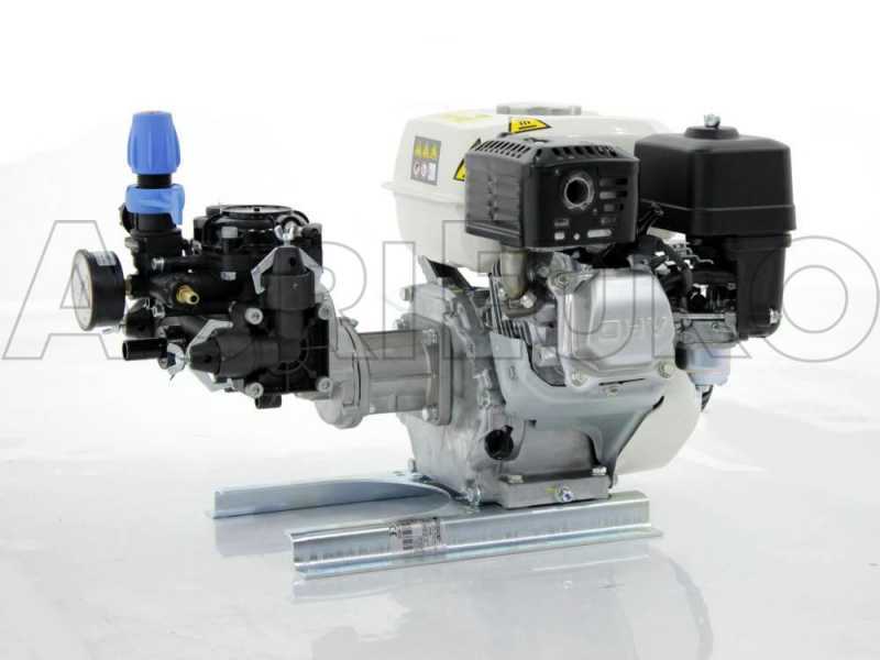 Comet MC 25 - Motopompa irrorazione - Motore a scoppio Honda GP 160