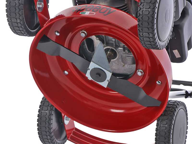 Marina System Speedy L - Rasaerba mulching a spinta - Motore Loncin LC1P65FE