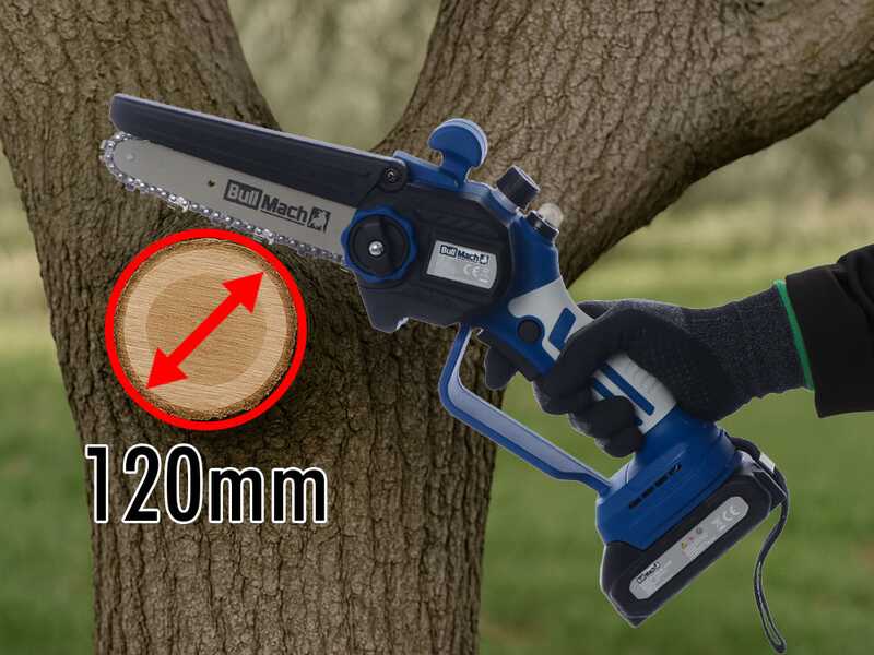 BullMach AION 10 - Potatore manuale elettrico a batteria + Asta telescopica 130-200 cm - 2x21V 2Ah