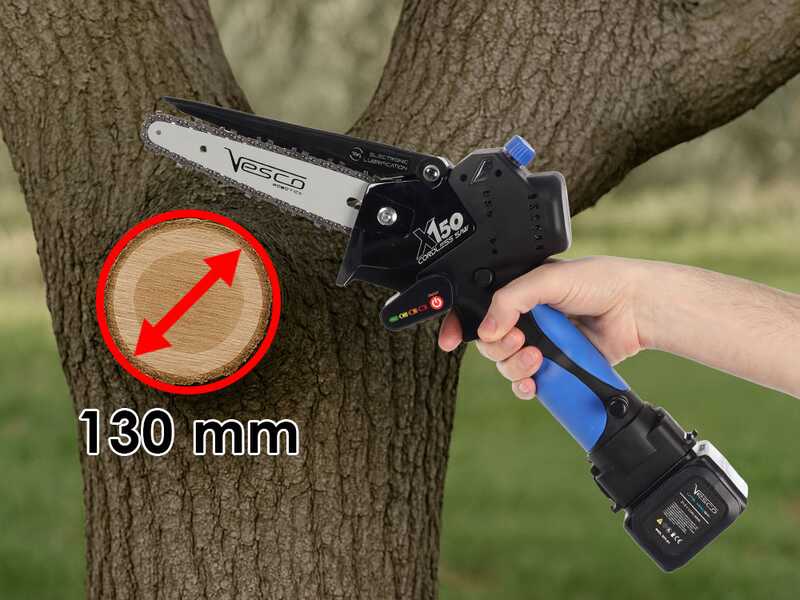 Vesco X150 - Potatore a batteria manuale - 2 batterie da 21.6V 2.5Ah