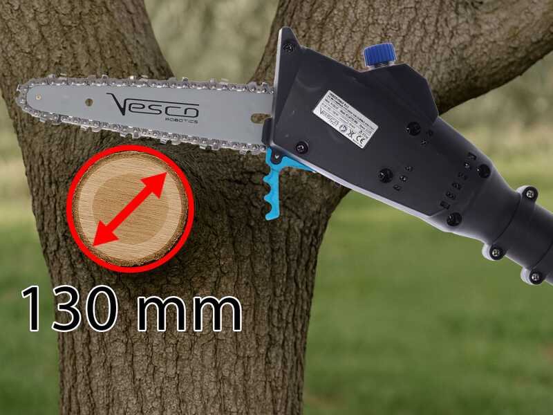 Vesco X150AT - Potatore a batteria su asta telescopica - 160-250 cm - 2x 21.6V 2.5Ah