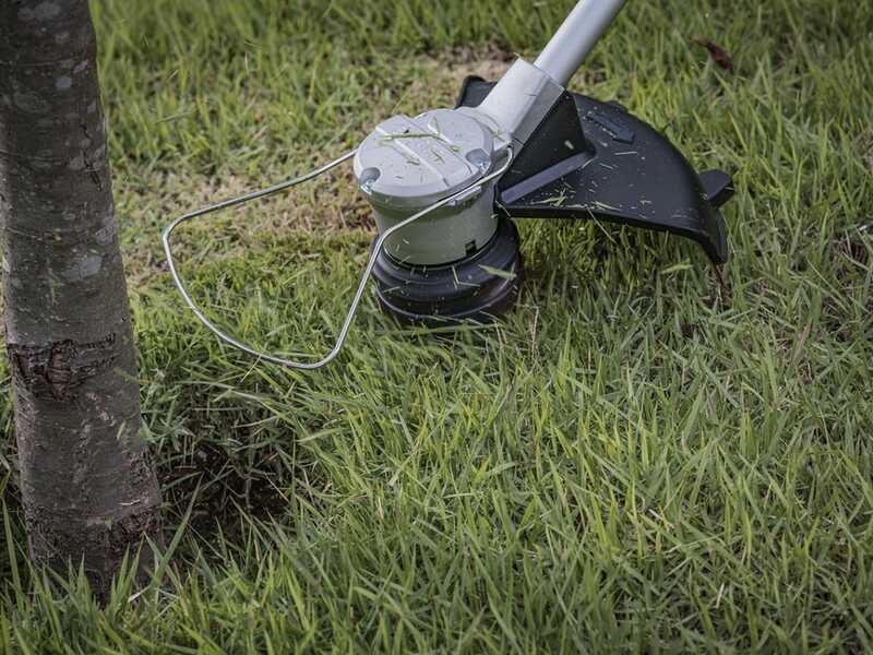 Bosch Professional GRT 18V-33 - Decespugliatore a batteria 18V 5.5Ah - Nuovo caricatore GAL 12V/18V-80 PRO