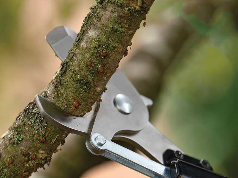 Bosch AdvancedPrune 18V-45 - Forbice elettrica da potatura su asta - 18V - 2.5Ah