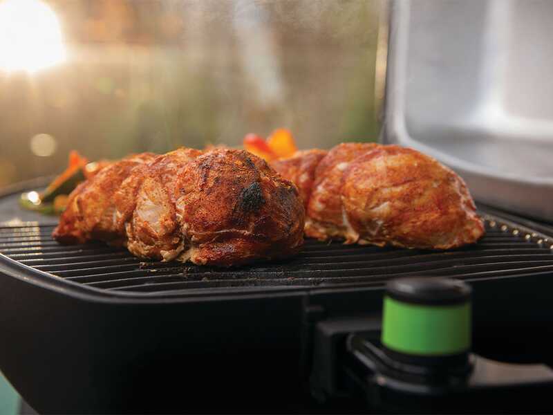 Napoleon TravelQ PRO285E  - Barbecue elettrico portatile