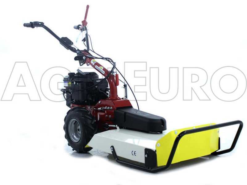 Eurosystems P55V - Trinciaerba a scoppio - Lama - B&amp;S 675iS