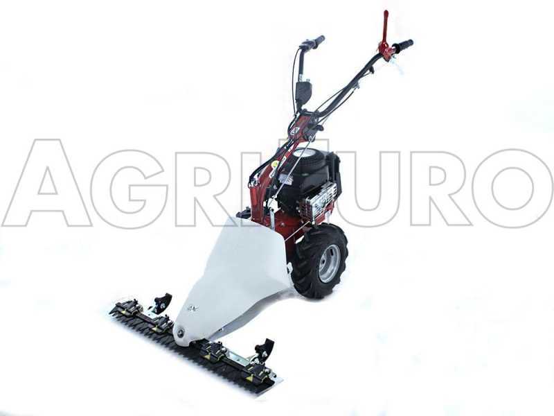 Motofalciatrice multifunzione bilama Eurosystems P55V - Motore B&amp;S 675iS