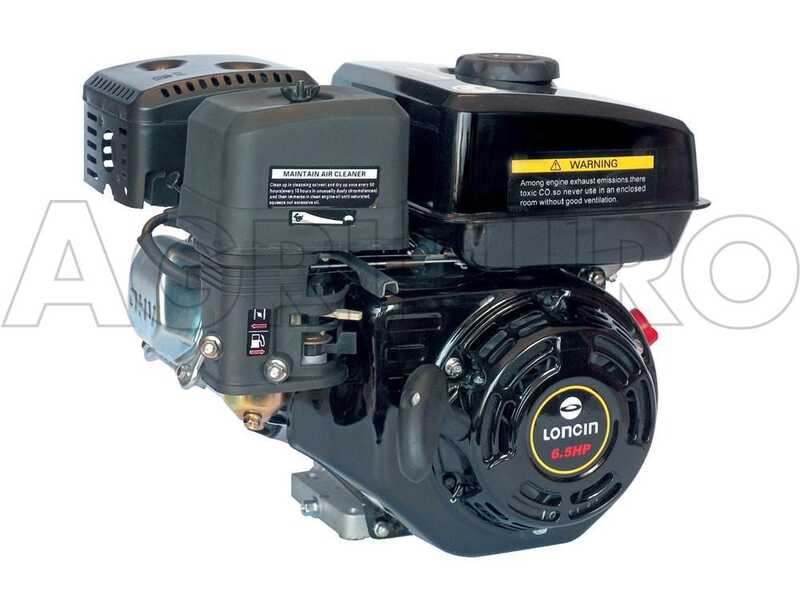 GeoTech-Pro LV650 SPL Deluxe - Aspirafoglie-Biotrituratore a scoppio trazionato - Loncin 6.5 HP