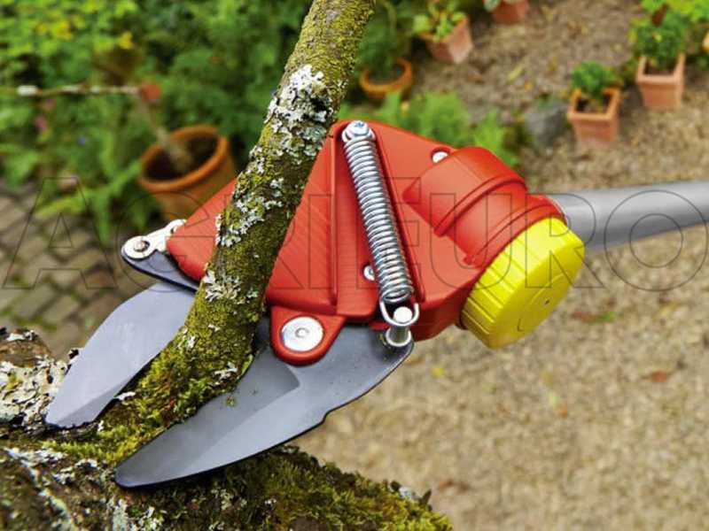 Wolf Garten RR 400 T - Forbicione da potatura telescopico professionale - Asta 220/400cm - &Oslash; 32 mm