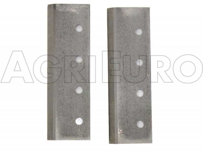 Kit 2 x Lame di ricambio per biotrituratore Tritone e Tritone Maxi e BIG - Ceccato