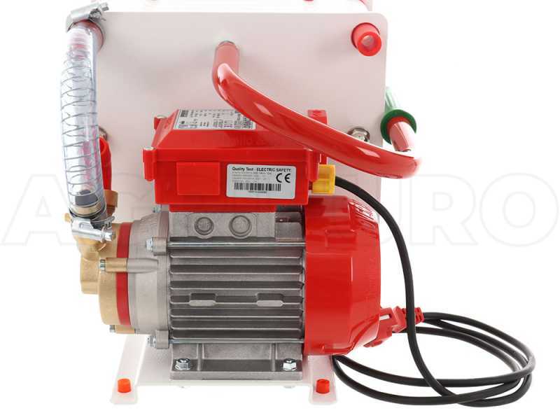 Rover Colombo 12 - Filtro a cartoni e piastre - Pompa in bronzo