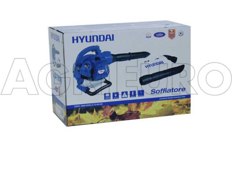 Hyundai Soffiatore/Aspiratore/Aspirafoglie/Trituratore a scoppio 25cc 35800