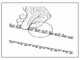 Campagnola Kronos - Potatore su asta fissa in carbonio da 120 cm - Line 58
