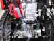 GINKO TR 660 - Motocarriola estensibile con ribaltamento idraulico 600Kg
