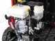 GINKO TR 660 - Motocarriola estensibile con ribaltamento idraulico 600Kg